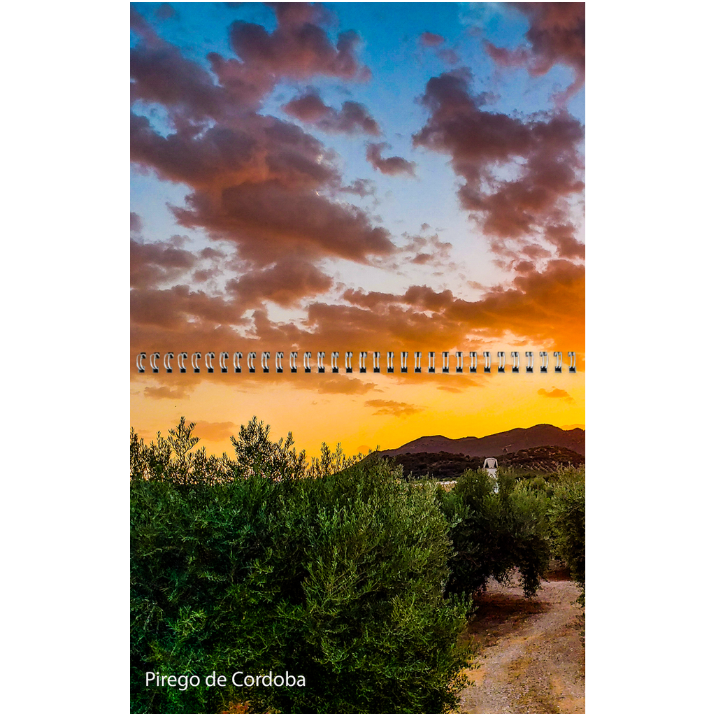 generated-preview-15