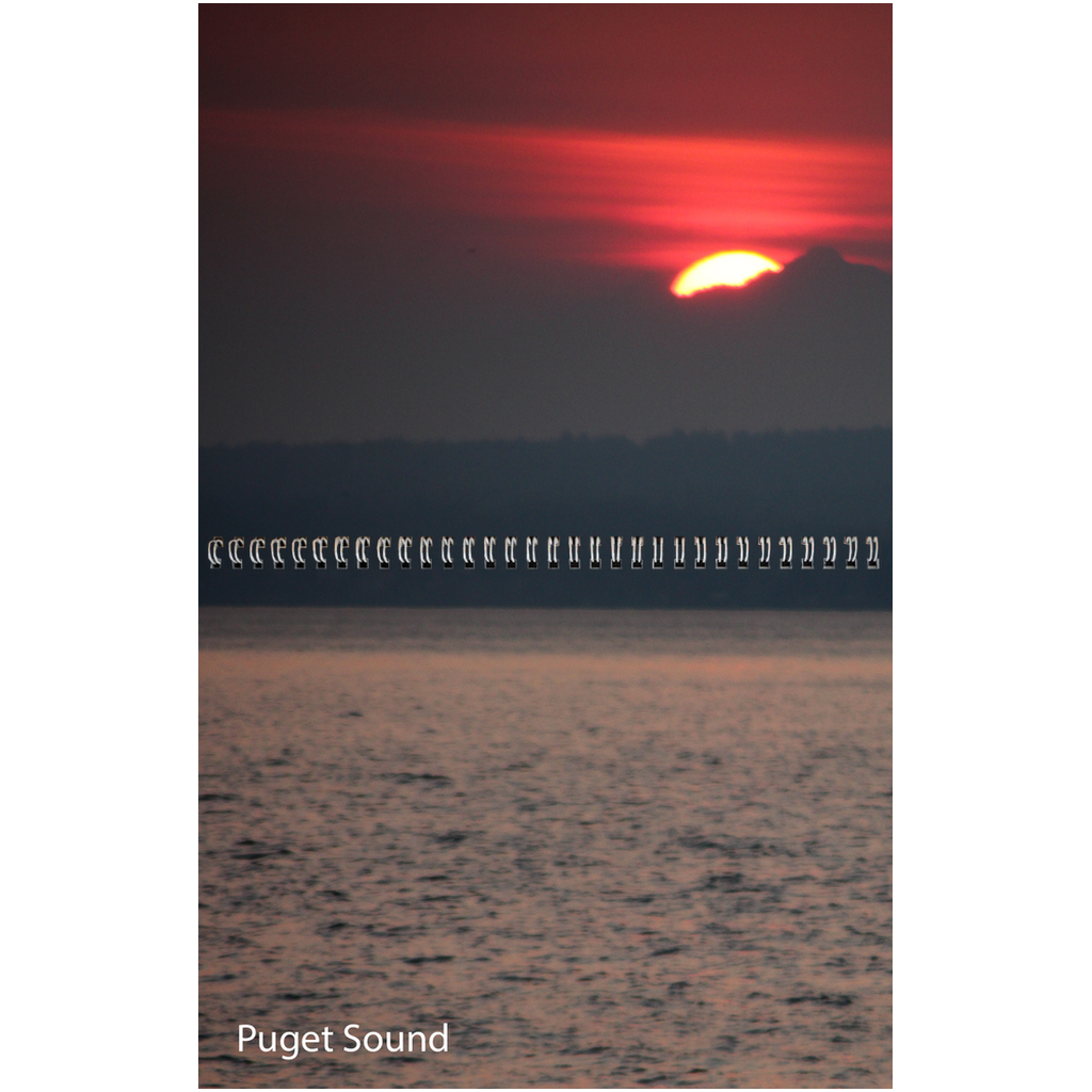 generated-preview-18