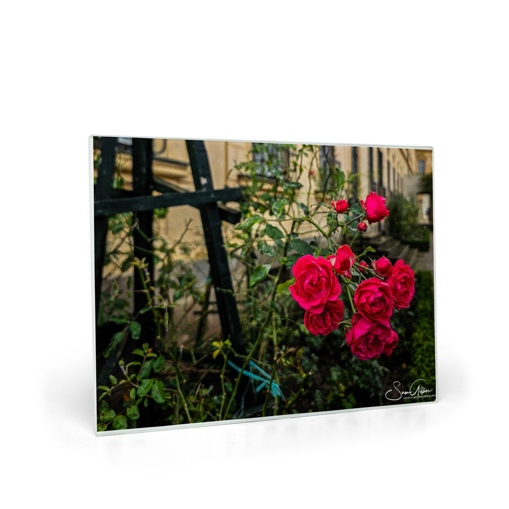 Tempered glass cutting board and elegant placemat featuring the Rosengarten of Bamberg design by Sam Gilliss Visual Arts.
