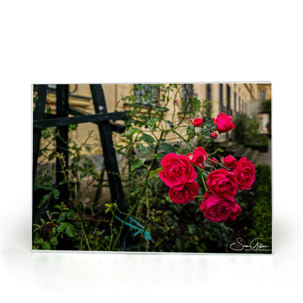 Tempered glass cutting board and elegant placemat featuring Rosengarten of Bamberg design by Sam Gilliss Visual Arts.